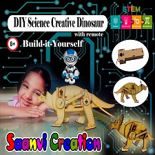 Saanvi Creation Diy Science Creative Craft Dinosaur.jpg